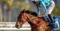 Hong Kong star Romantic Warrior retired due to leg injury