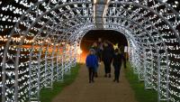 Explore the 'interactive' enchanted woodland light trail just 45 minutes from Birmingham
