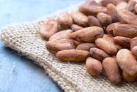 Cameroon Cocoa Prices Near CFA3,000 per Kg After Export Revenue Slumped 63%