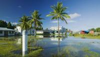 Pacific islands warned of food shortages due to warming