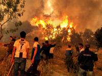 Capital Punishment for Intentional Forest Fires in Algeria