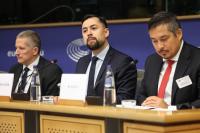 EU needs to do better, Greenland tells MEPs
