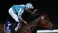 World’s richest racehorse Romantic Warrior retired with immediate effect due to leg injury