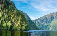 US Forest Service Chief With Industry Ties Pushed for More Logging on Public Lands