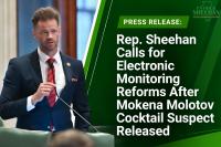 Illinois State Rep. Patrick Sheehan Calls For Electronic Monitoring Reforms After Mokena Molotov Cocktail Suspect Released