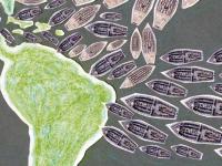 New ‘Disaster Comic’ Depicts the Roots of Mass Extermination
