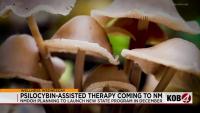 New Mexico to launch psilocybin therapy program this year ahead of schedule