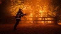 A World On Fire: Wildfires In 2026 Are Becoming A Socio-Scientific ...