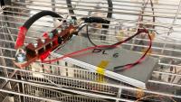 Donut’s Lab’s solid-state battery has hit 409Wh/kg: can this tech transform EVs?