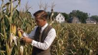 Henry A. Wallace and the Birth of Hybrid Corn