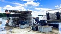 Maine Department of Marine Resources offers tech advancement (with a wink and a smile)