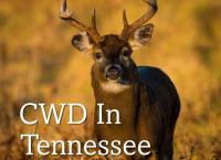 TWRA to Host Public Informational Meeting on Chronic Wasting Disease