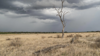 Drought risk mounts as South Africa heads into strong El Niño conditions