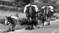 Bruce County Museum presents A Travelers Journey