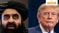 $1 trillion Afghan mineral wealth: Is Taliban offering access to American investors? What's the deal behind it?