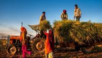 PMFBY’s Decade Of Crop Insurance Shows Scale, Technology And Challenges In Protecting Indian Farmers