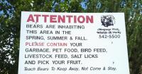 Bear conflicts hit unprecedented levels in south-central Montana, wildlife managers say