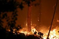 World must prepare for 'reality' of missing 1.5C goal: UN