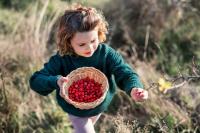 For nearly 60 years, West Virginians have gathered in this park to eat from the wild