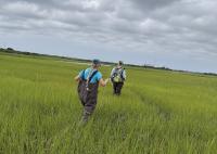 URI scientist leads $4M NSF project to strengthen coastal...
