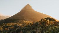 Nearly 150 bags of litter removed from Cape Town’s mountain hotspots