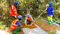 Cameroon’s Minta Rare Earths Show High Grades, but Scale and Viability Remain Unproven