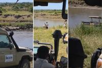WATCH | Chaos on safari: Tourists run to safety as vehicle plunges into croc-infested river