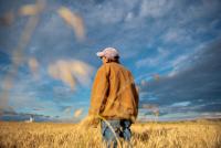 OPINION: As Farm Bill Stalls, New Legislation Emerges Tackling Unfair Markets in Agriculture