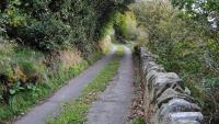 Farmers risk losing BISS payments over hedge removal rules