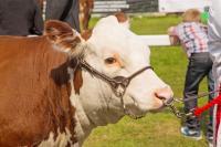 Florida UF/IFAS Extension awards SWFL Ag Expo scholarships