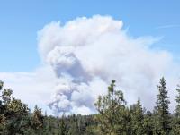 Colorado Fire holds at 250 acres