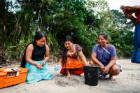 Indigenous ‘turtle women’ help vulnerable reptiles recover in Ecuadorian Amazon