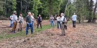 Great Mountain Forest demonstrates how to manage invasive plants
