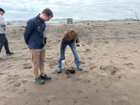 Chile creates a citizen network to record marine fauna strandings and strengthen coastal protection