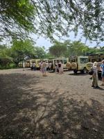 Swiss Tourists praise Tanzania safari services, Serengeti National Park