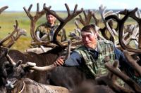 The moving lessons of nomadic herders