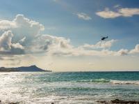 FAA Denies Hawaii Helicopter Operator’s Bid to Resume Ocean Jumps