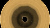 Scientists find 10-sided wave pattern swirling in the clouds over Saturn's south pole