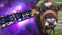 A Real Cow Played EVE Online… For Some Reason