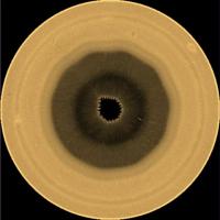 Scientists discover a mysterious wave shaped like a decagon in Saturn's atmosphere
