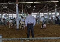 Dan Rodricks: At the Maryland State Fair, another generation of farmers puts on a show
