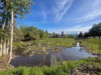 City looks to address chemicals in Pattee Creek watershed