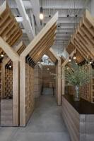 Oliveda International, Inc. (OLVI) Announces Successful Opening of Olive Tree People’s First U.S. Flagship Store