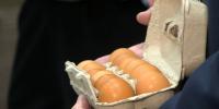 Florida AG announces statewide egg delivery, affordability relief
