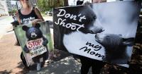 Florida to stage another December bear hunt — b…