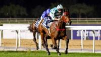 World’s richest horse Romantic Warrior retires due to injury