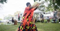 Free brake light repair and the African Festival of the Arts: This week's Hyde Park Happenings