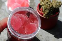 THC Gummies: A Closer Look at Cannabinoids and Formulations