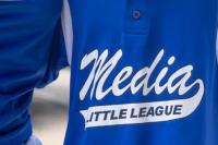 Delco DA charges woman with stealing from Media Little League