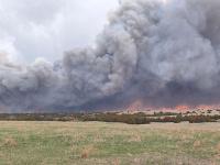 Nebraska Rancher Sues State After Prescribed Burn Kills Cattle